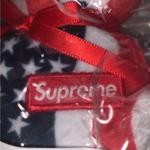 Supreme Box Logo TY Beanie Baby - Picture 3 of 6